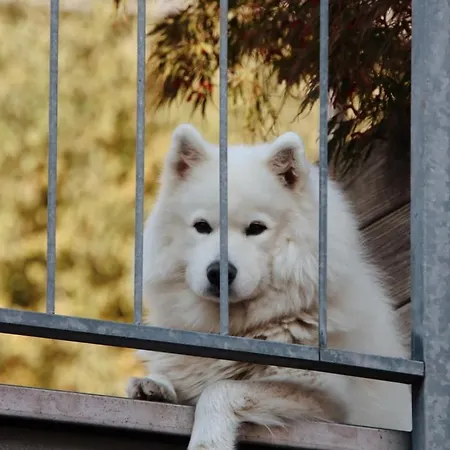 Ferienhaus Liebevolles Renoviertes Haus Anno 1858! Thuringen