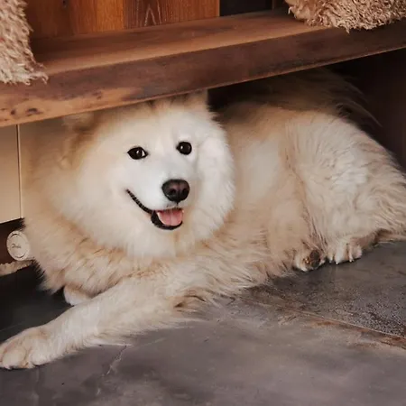 Liebevolles Renoviertes Haus Anno 1858!