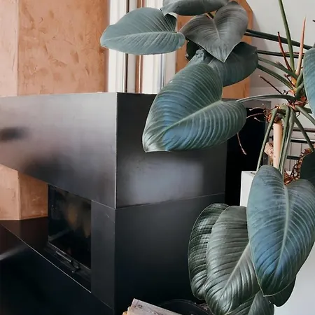 Ferienhaus Liebevolles Renoviertes Haus Anno 1858! *