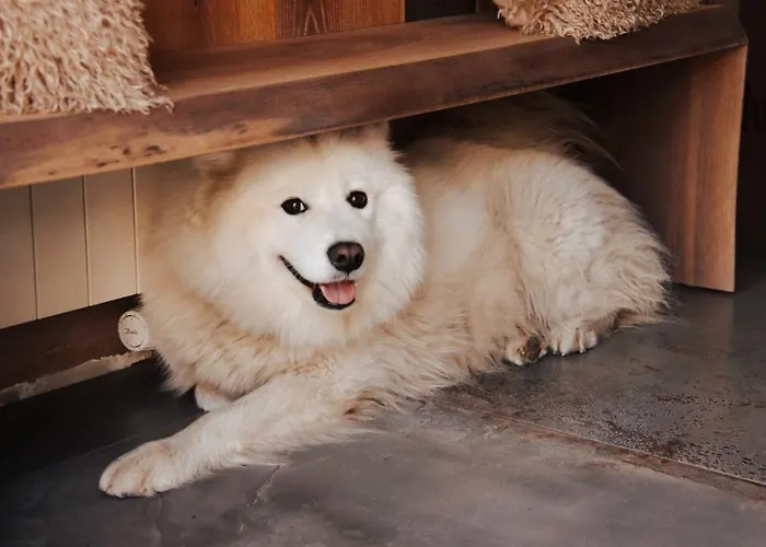 Liebevolles Renoviertes Haus Anno 1858!