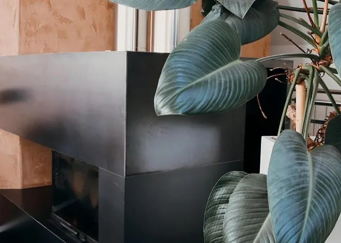 Holiday home Liebevolles Renoviertes Haus Anno 1858! *